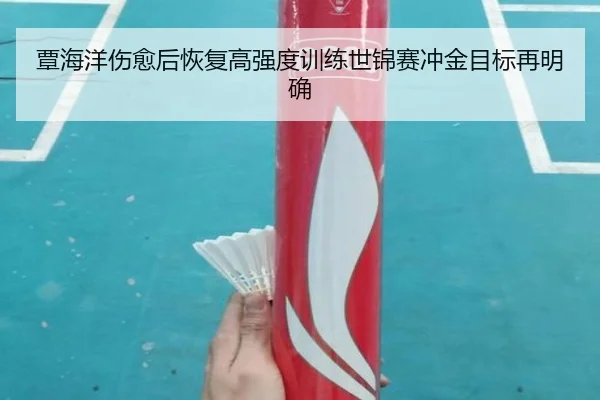 覃海洋伤愈后恢复高强度训练世锦赛冲金目标再明确